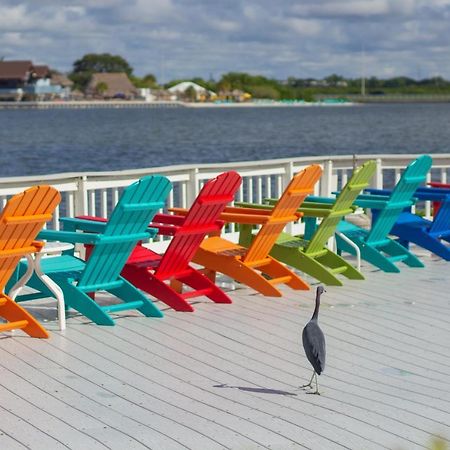 412-Amazing Views, Waterfront, Wifi, Pool, Close To Bucs Stadium Tampa Exterior foto